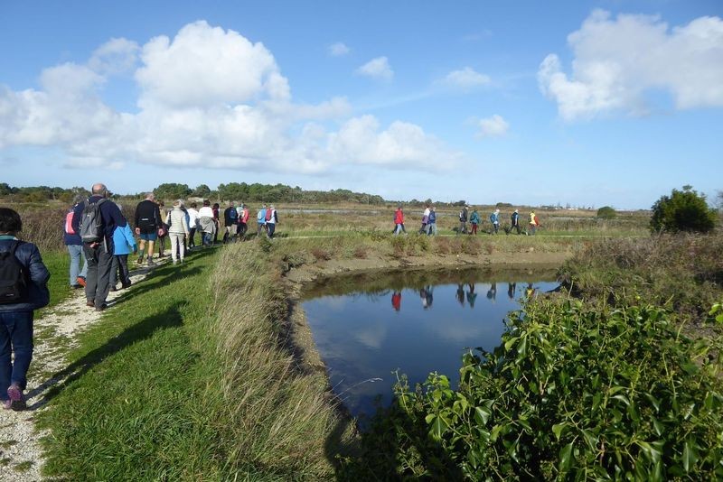 20231115 port des salines 003