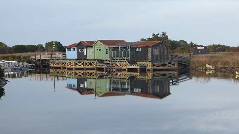 20231115 port des salines 009