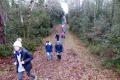 20240117 les roseaux 002