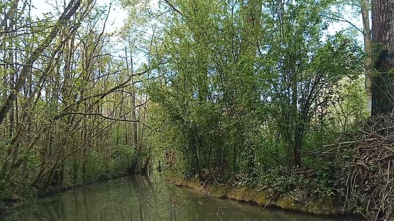 Marais poitevin balade bato 003
