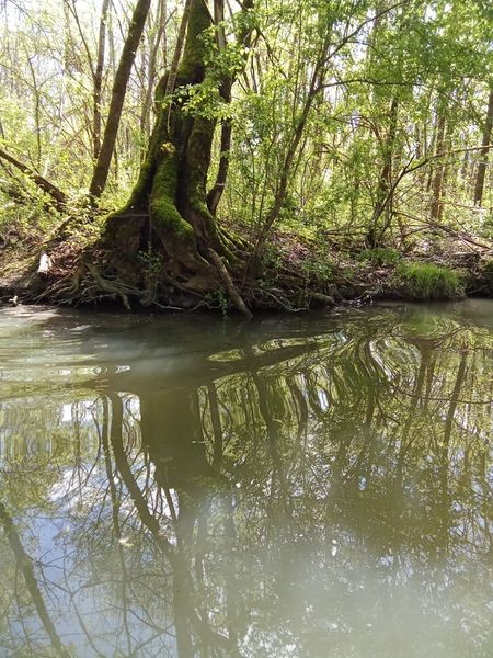 Marais poitevin balade bato 007