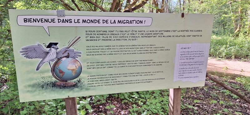 Marais poitevin migration 500