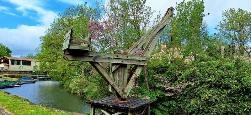 Marais poitevin rando 016