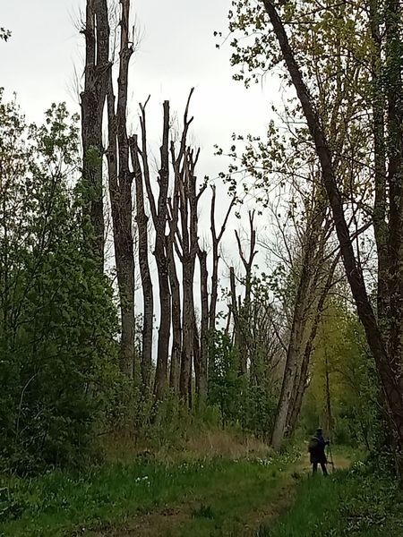 Marais poitevin rando 026
