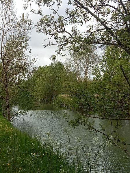 Marais poitevin rando 027