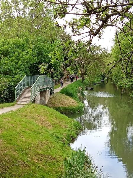 Marais poitevin rando 030