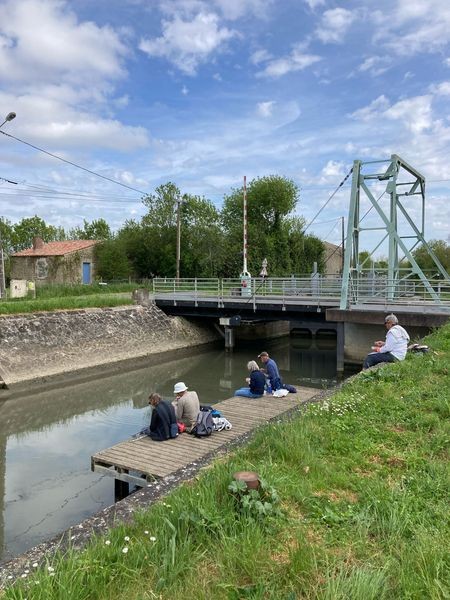 Marais poitevin rando 047